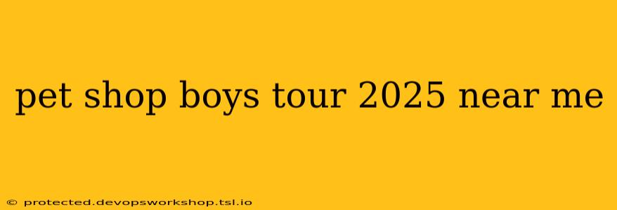 pet shop boys tour 2025 near me