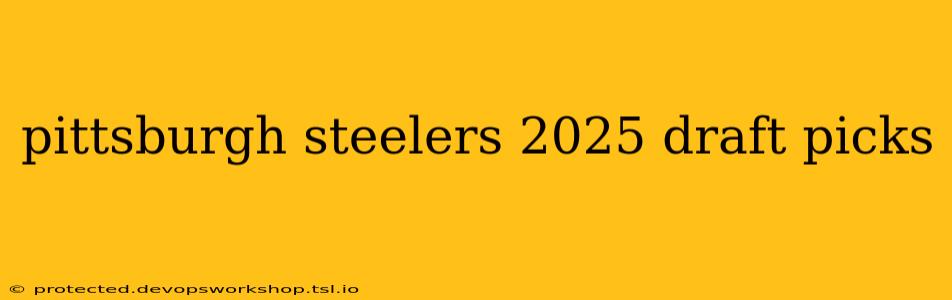 pittsburgh steelers 2025 draft picks