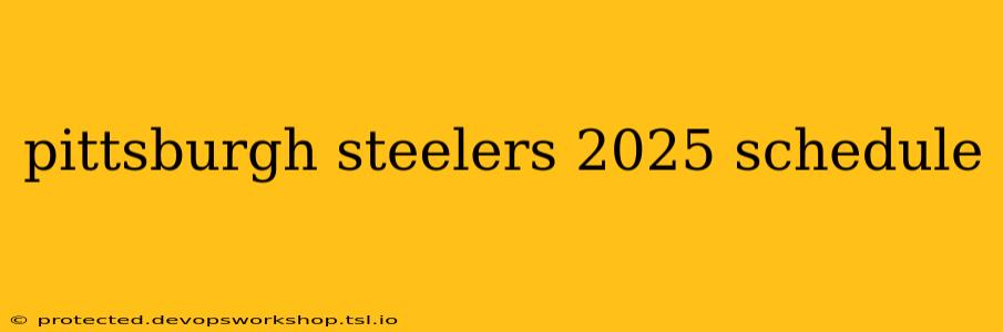 pittsburgh steelers 2025 schedule