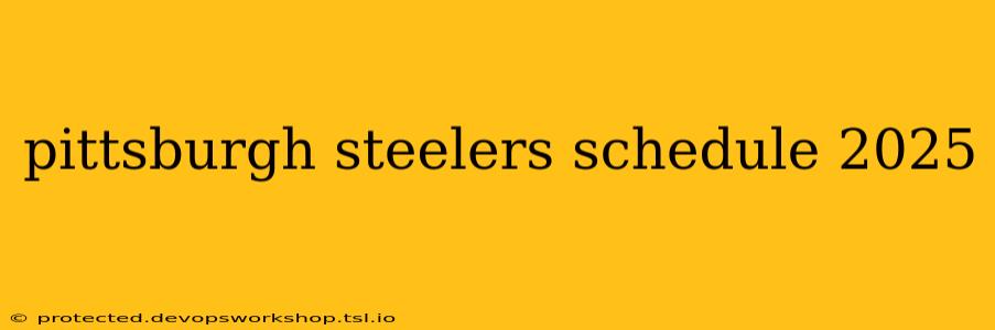 pittsburgh steelers schedule 2025