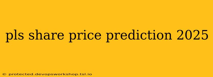 pls share price prediction 2025