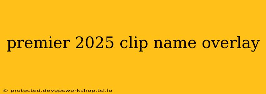 premier 2025 clip name overlay