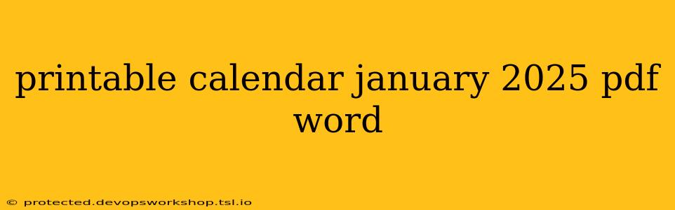 printable calendar january 2025 pdf word