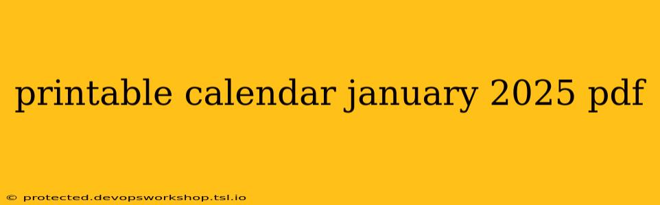 printable calendar january 2025 pdf