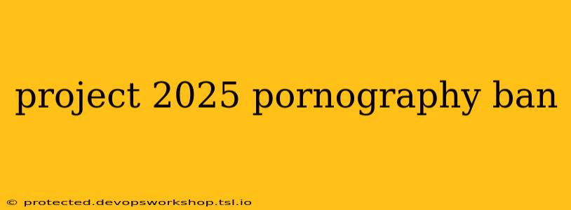 project 2025 pornography ban