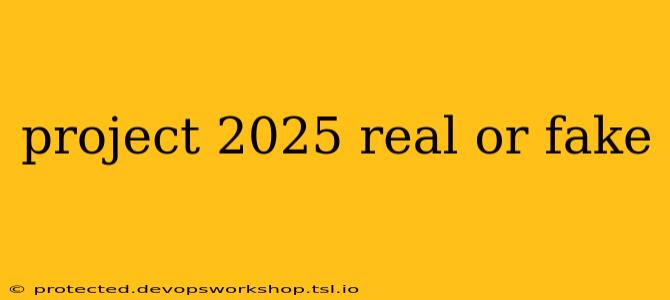 project 2025 real or fake