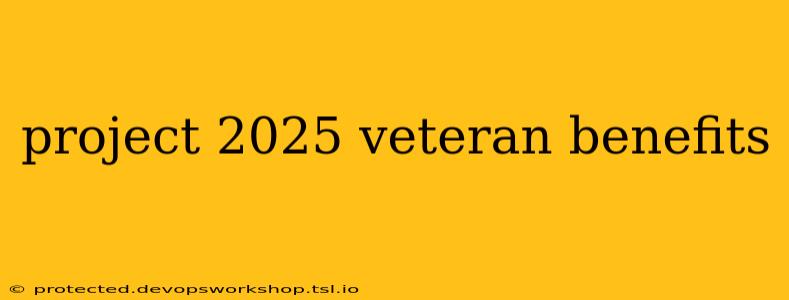 project 2025 veteran benefits