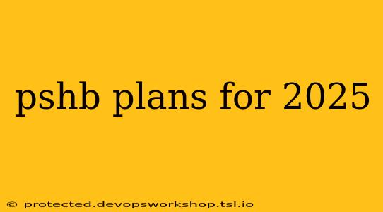 pshb plans for 2025