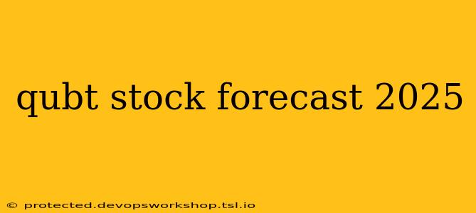 qubt stock forecast 2025