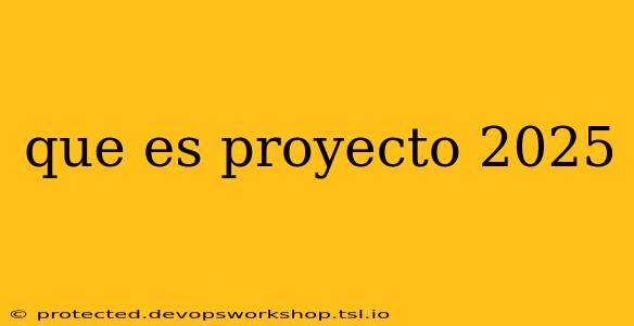 que es proyecto 2025