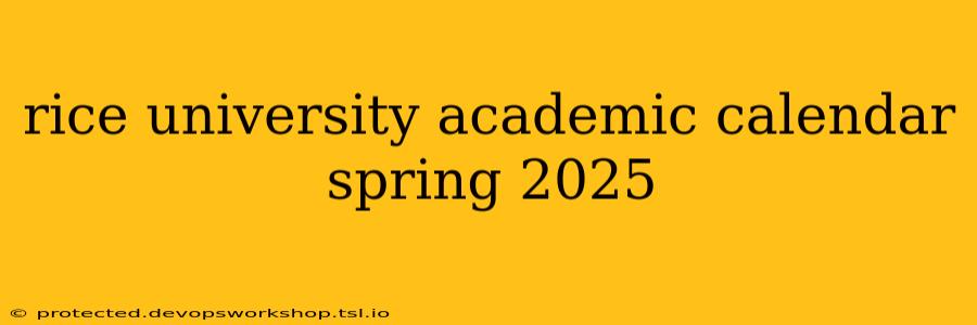 rice university academic calendar spring 2025