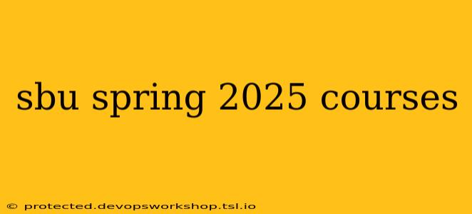 sbu spring 2025 courses