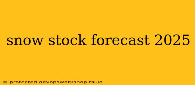 snow stock forecast 2025