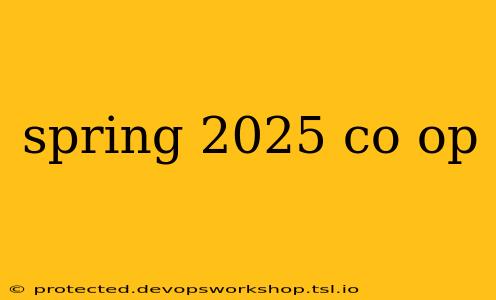 spring 2025 co op