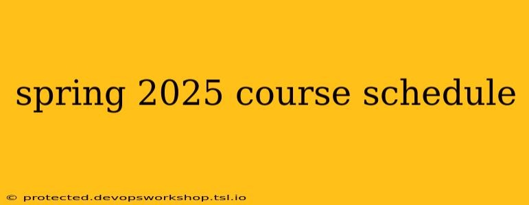 spring 2025 course schedule