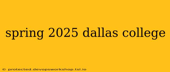 spring 2025 dallas college