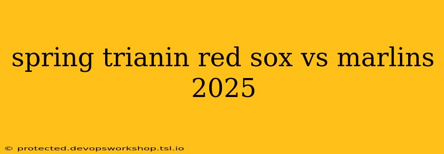 spring trianin red sox vs marlins 2025