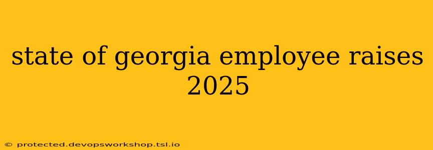 state of georgia employee raises 2025