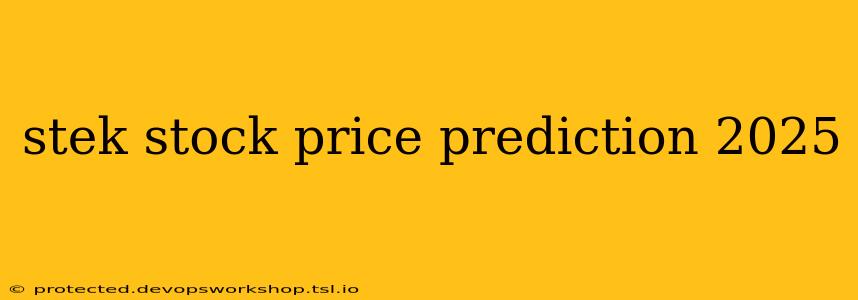 stek stock price prediction 2025