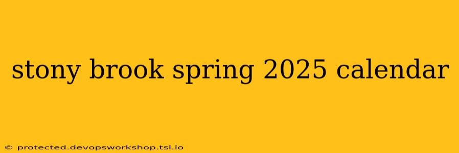 stony brook spring 2025 calendar