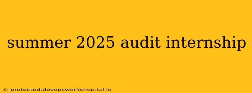 summer 2025 audit internship