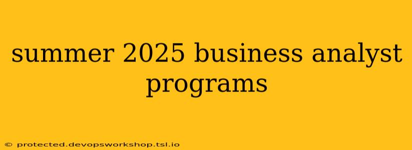 summer 2025 business analyst programs