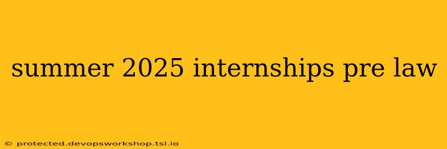 summer 2025 internships pre law