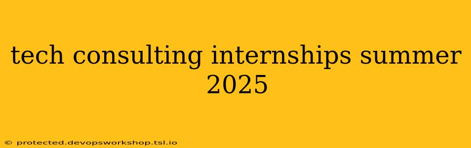 tech consulting internships summer 2025