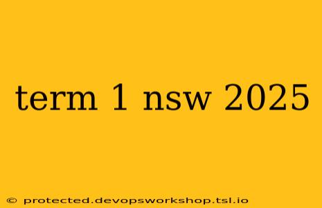 term 1 nsw 2025