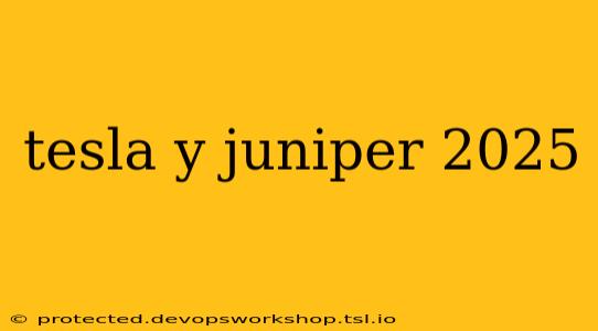 tesla y juniper 2025