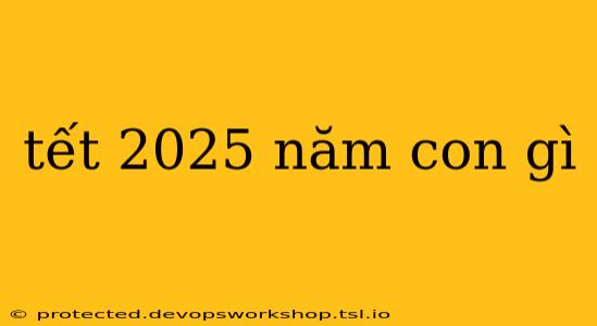 tết 2025 năm con gì