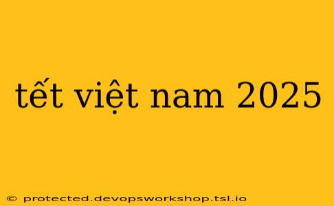 tết việt nam 2025