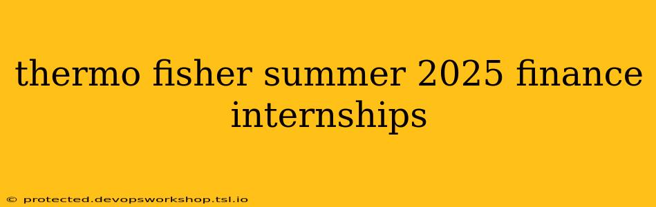 thermo fisher summer 2025 finance internships