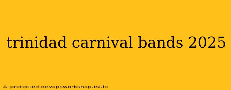 trinidad carnival bands 2025