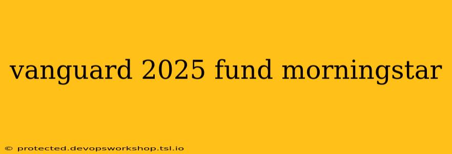 vanguard 2025 fund morningstar