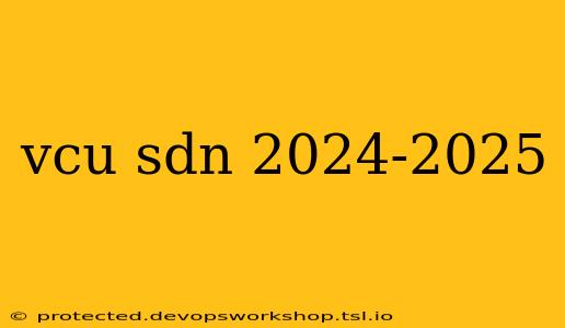 vcu sdn 2024-2025