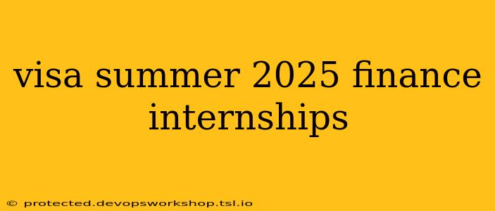 visa summer 2025 finance internships