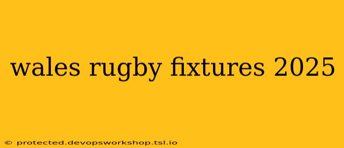 wales rugby fixtures 2025