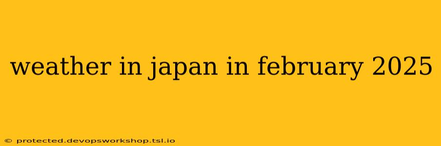 weather in japan in february 2025