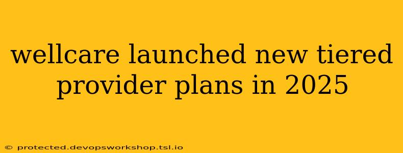 wellcare launched new tiered provider plans in 2025