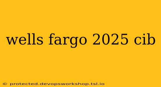 wells fargo 2025 cib