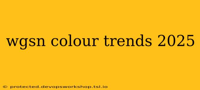 wgsn colour trends 2025