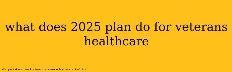 what does 2025 plan do for veterans healthcare