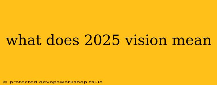 what does 2025 vision mean