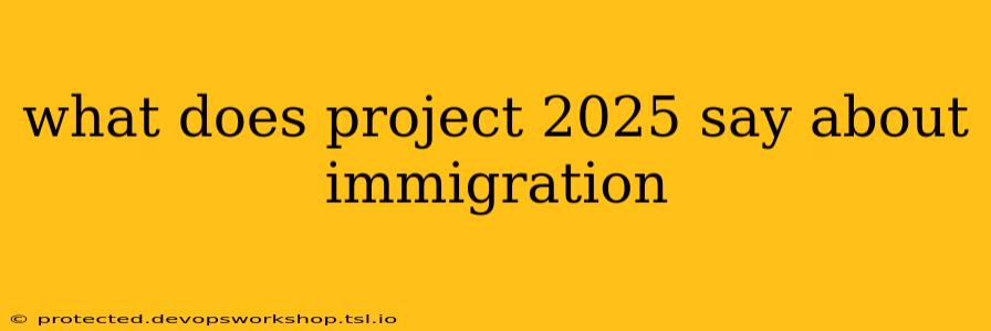 what does project 2025 say about immigration