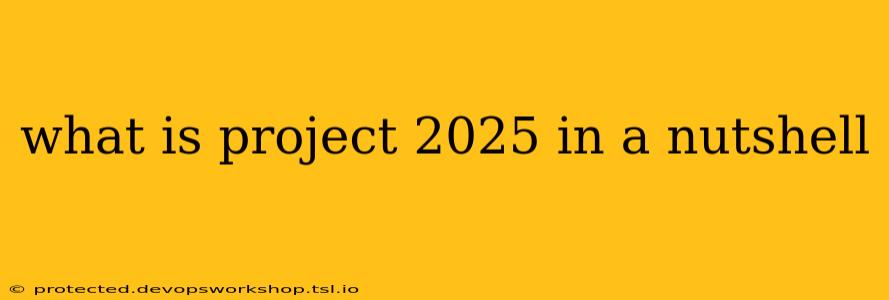 what is project 2025 in a nutshell