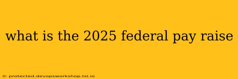 what is the 2025 federal pay raise