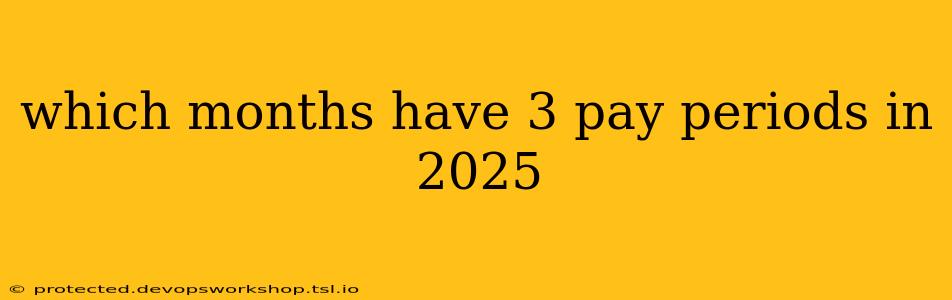 which months have 3 pay periods in 2025