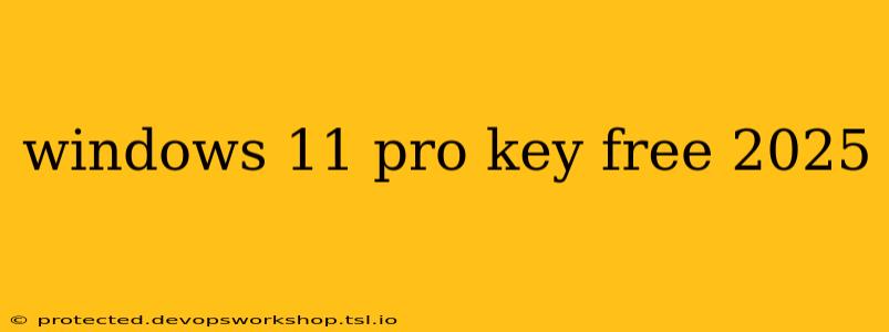 windows 11 pro key free 2025