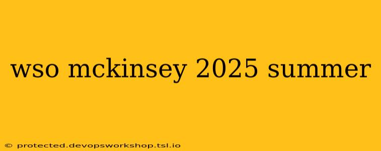 wso mckinsey 2025 summer